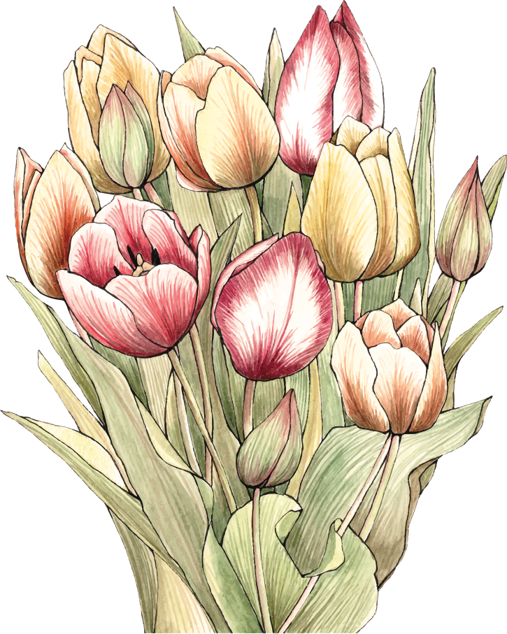 Vinylový koberec s květinami a rostlinami tulipánový bouquet - TenStickers