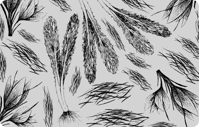 Vinylový koberec s květinami a rostlinami v šedém odstínu - TenStickers