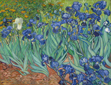 Vinylový koberec s květinami a rostlinami van gogh - TenStickers