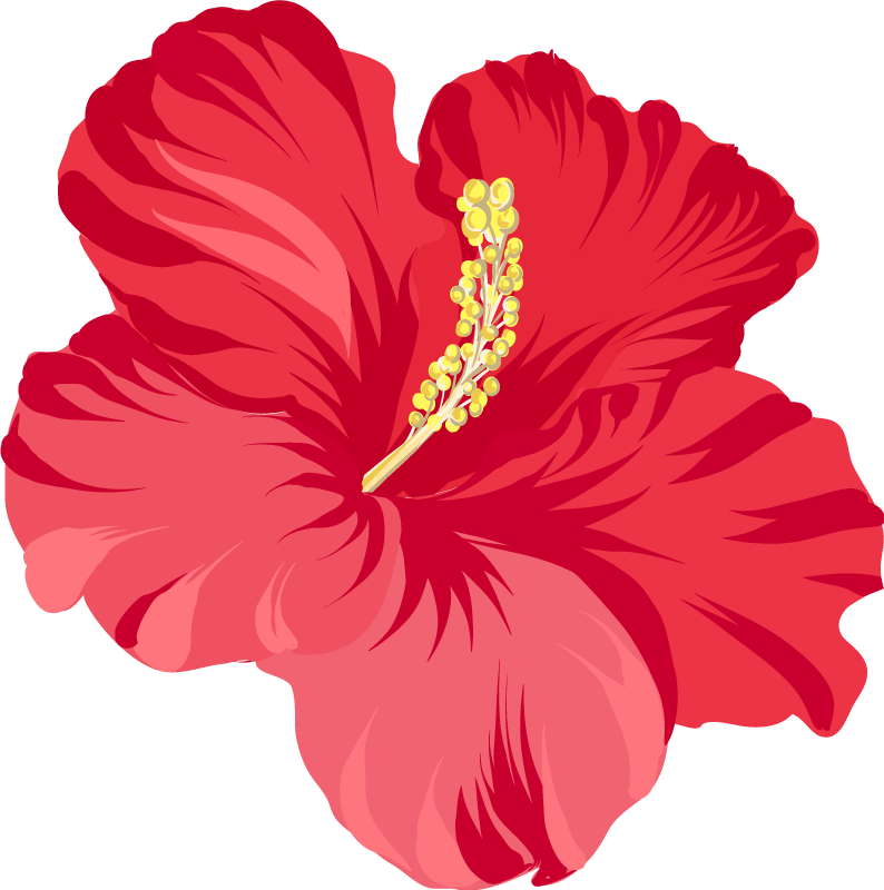 Vinylový koberec s květinami a rostlinami červený hibiscus - TenStickers