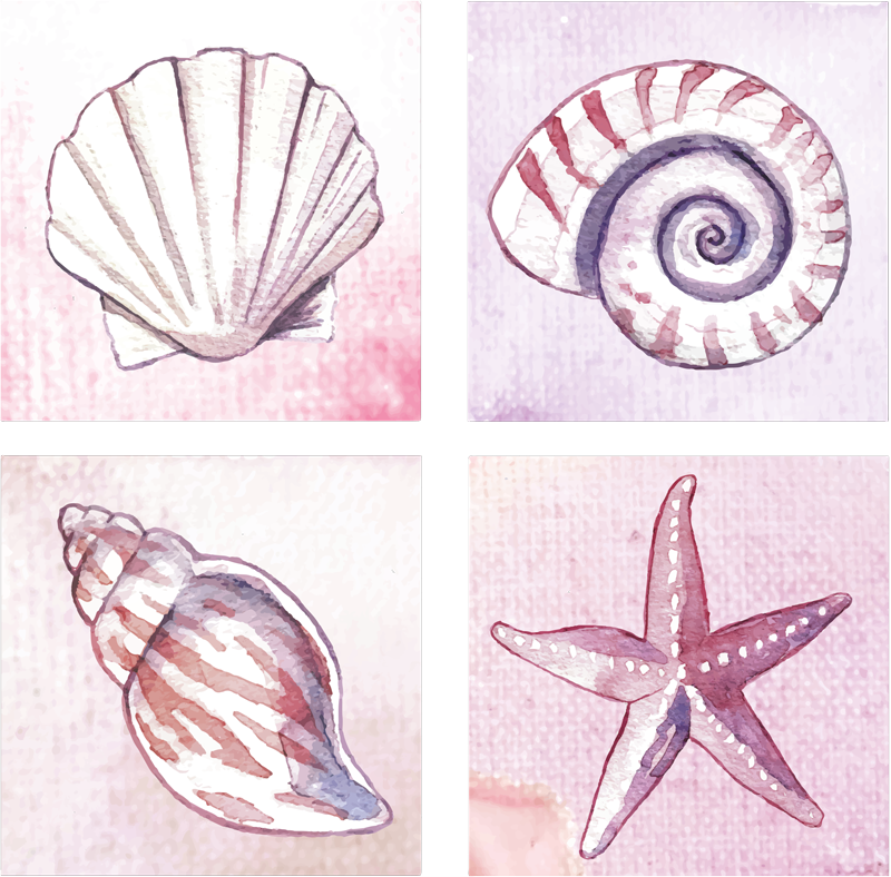 Koupelnový vinylový koberec mořský život tiles - TenStickers