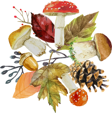 Přírodní vinylový koberec lesní listy a plody - TenStickers