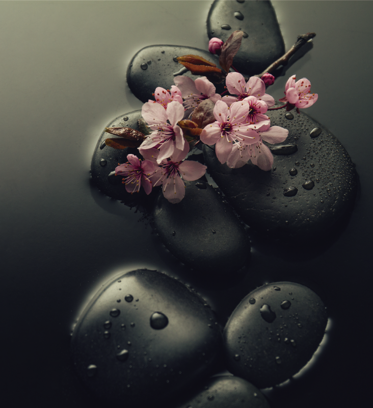 Přírodní vinylový koberec zen atmosféra se stonek - TenStickers