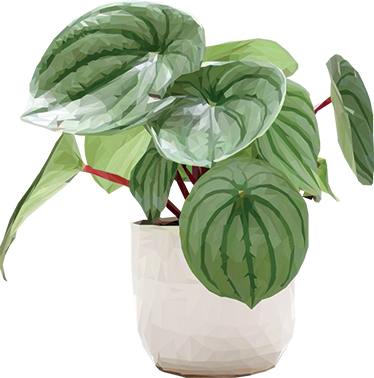 Vinylový koberec s květinami a rostlinami domácí rostlina - TenStickers