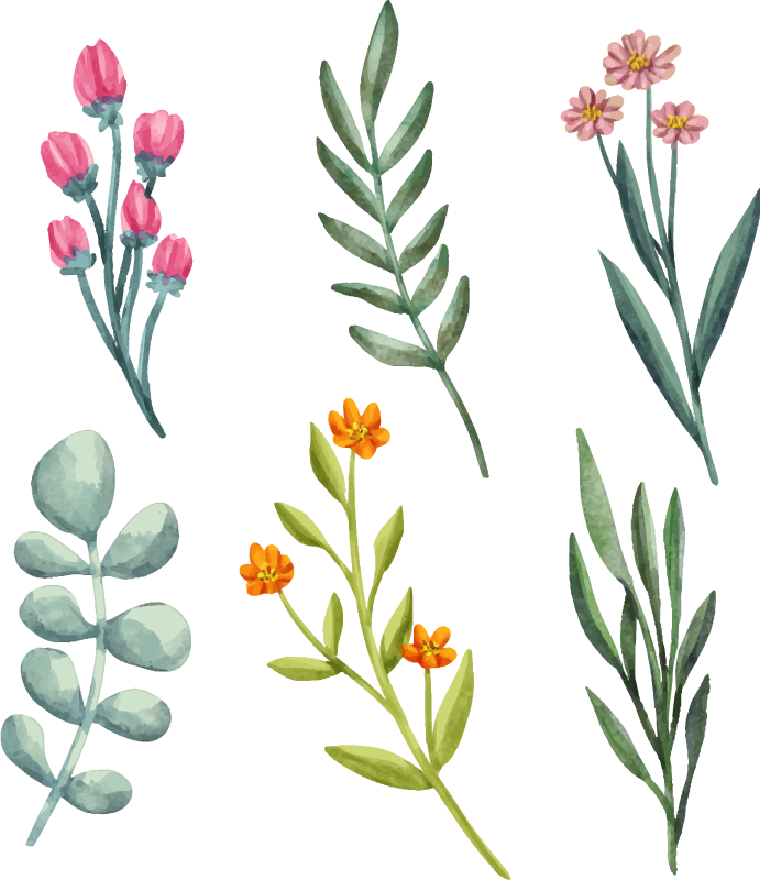 Vinylový koberec s květinami a rostlinami větve rostlin - TenStickers