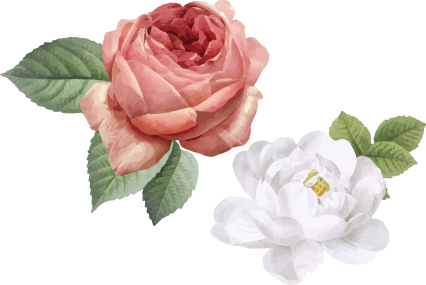 Vinylový koberec do ložnice růže v bílé a růžové - TenStickers