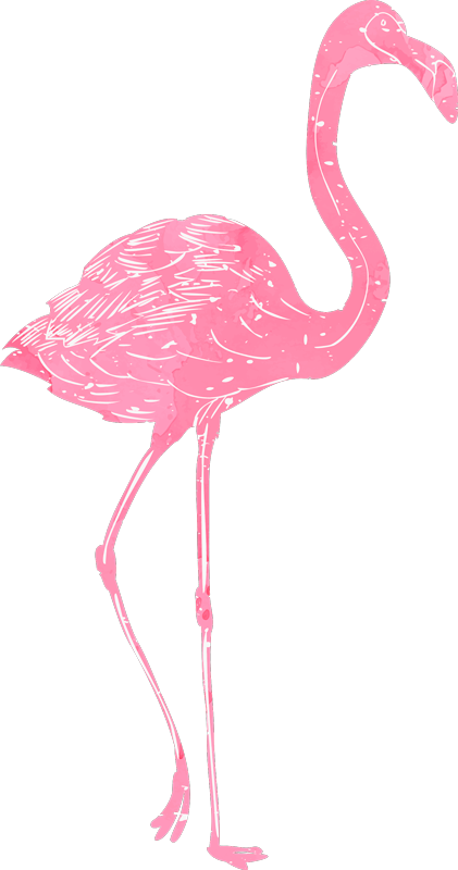 Vinylový koberec do ložnice akvarelové flamenco - TenStickers