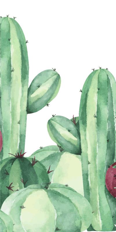 Koupelnový vinylový koberec cactus plants - TenStickers