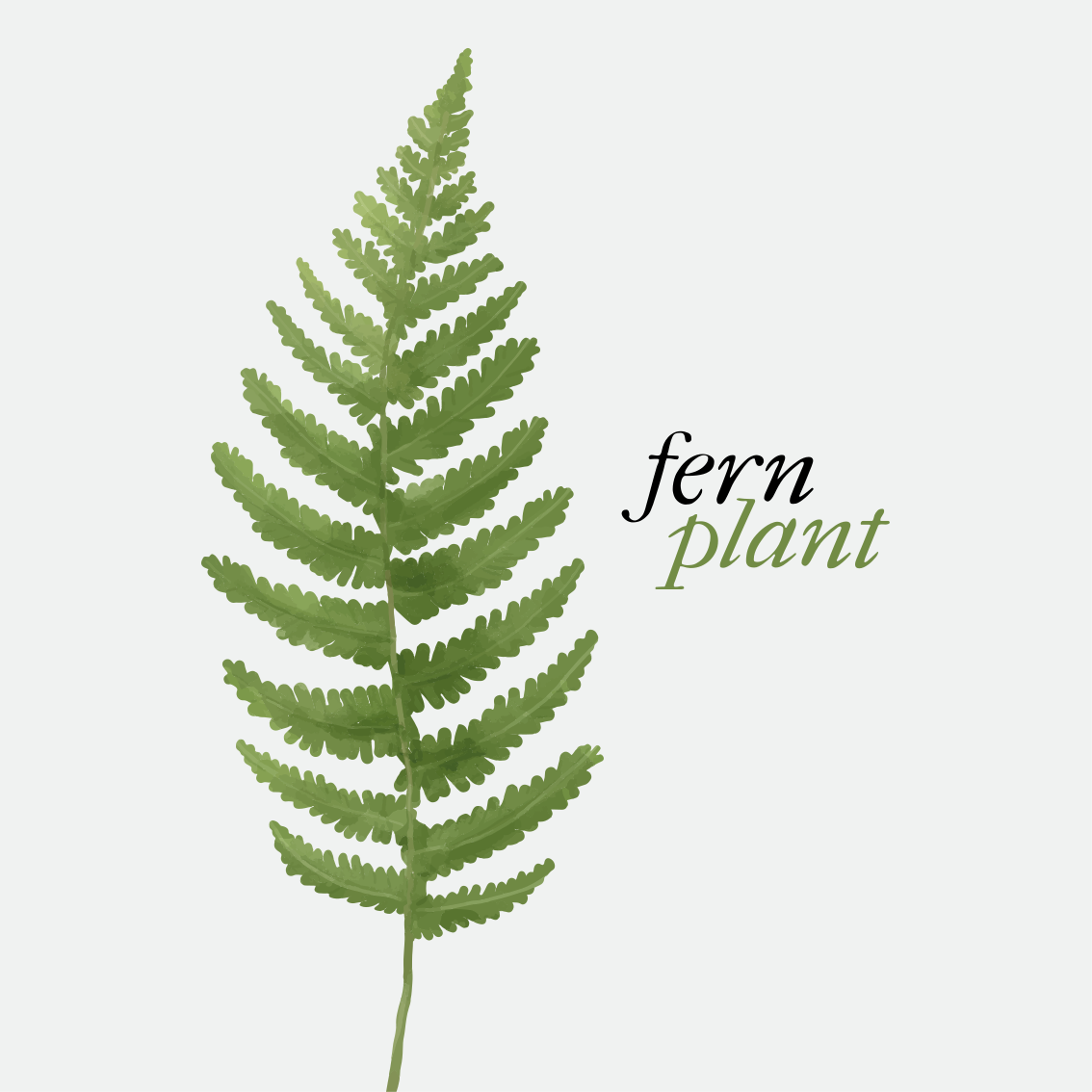 Vinylový koberec s frázemi fern minimalistický styl - TenStickers