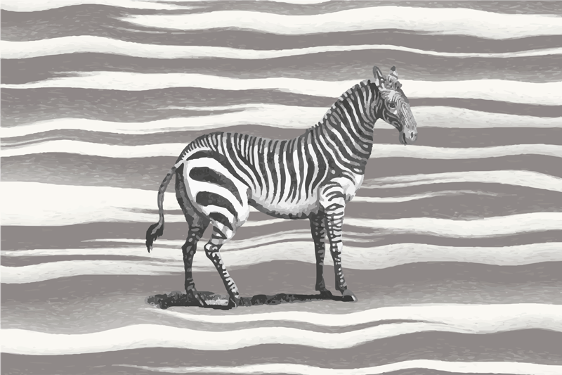 Vintage zebra ilustrace vinylový koberec - TenStickers