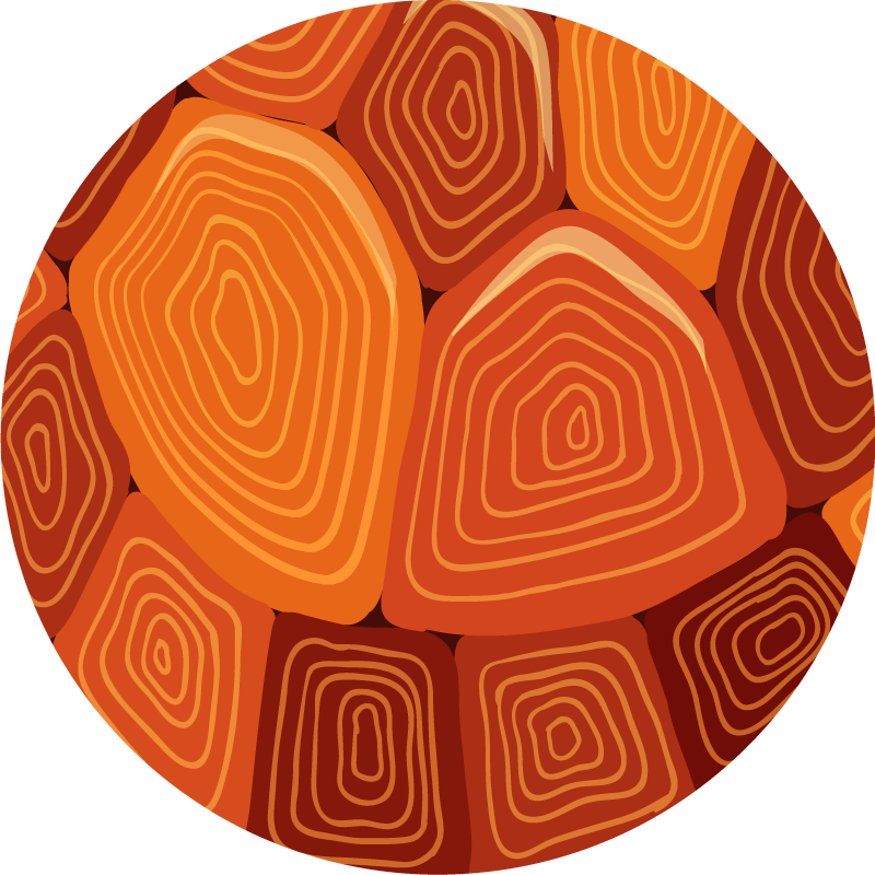 Vinylový koberec s potiskem želvy - TenStickers