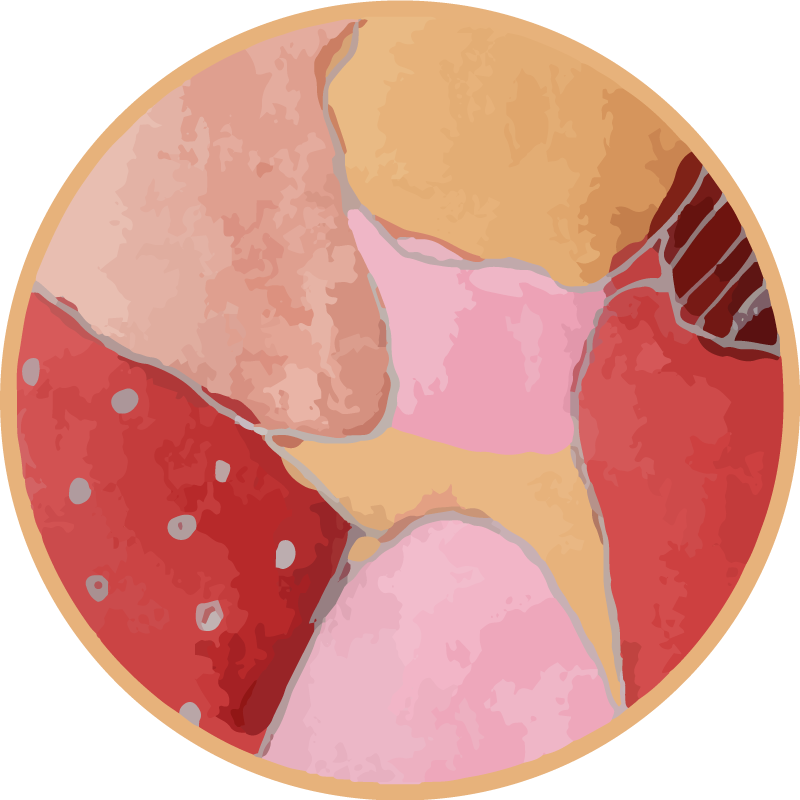 živé květinové motivy Vinylový koberec ve vstupní hale - TenStickers