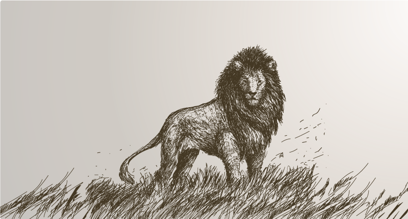 Odraz majestátního lva Zvířecí vinylový koberec - TenStickers