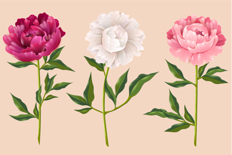 Elegantní trio aranžmá Koupelnový vinylový koberec - TenStickers