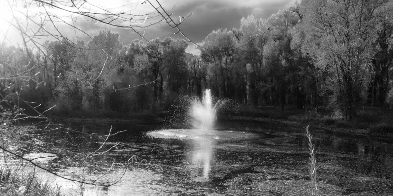 šedý lesní přírodní vinylový koberec - TenStickers