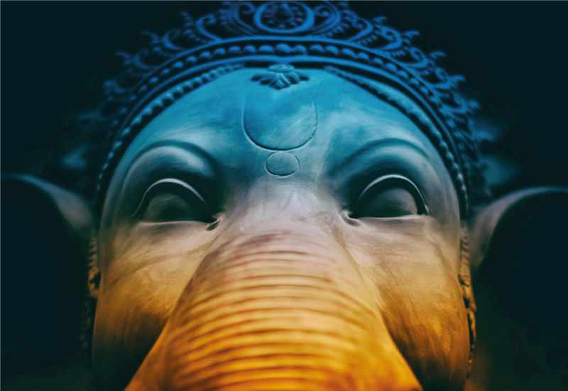 Moderní umění modrý slon moderní koberec - TenStickers