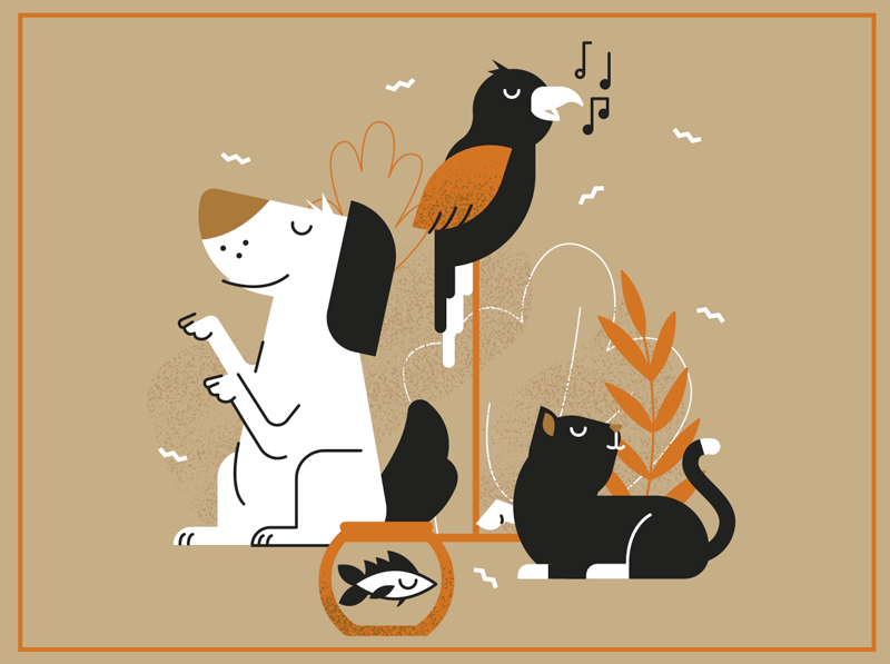 šťastný roztomilý mazlíčci zvířecí koberec - TenStickers