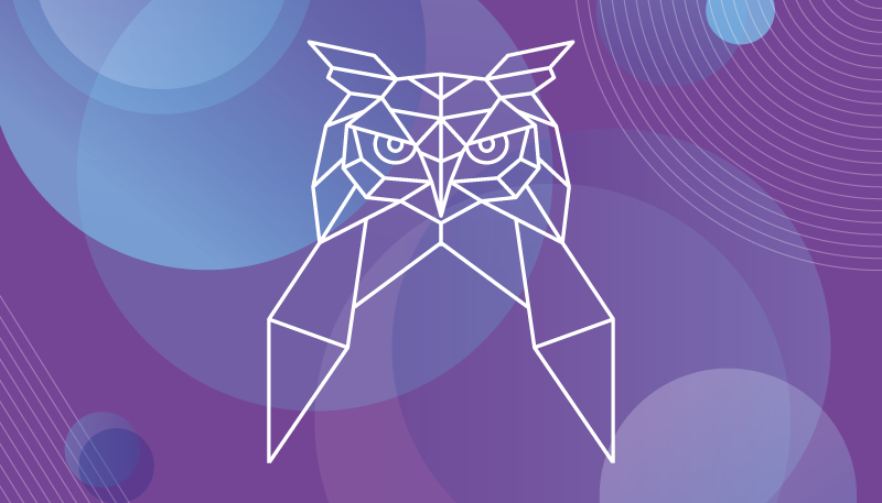 Geometrické umění sovy Zvířecí vinylový koberec - TenStickers