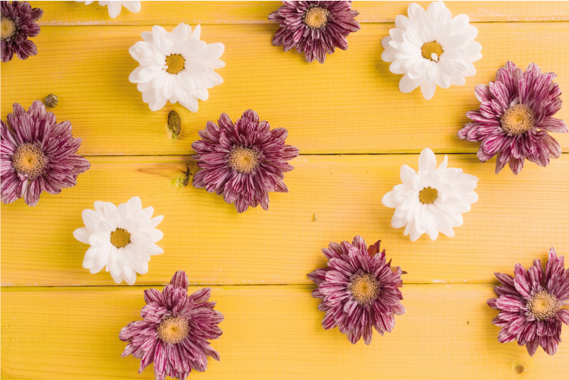 Sedmikráska květiny na květinové koberce dřevěné prkno - TenStickers