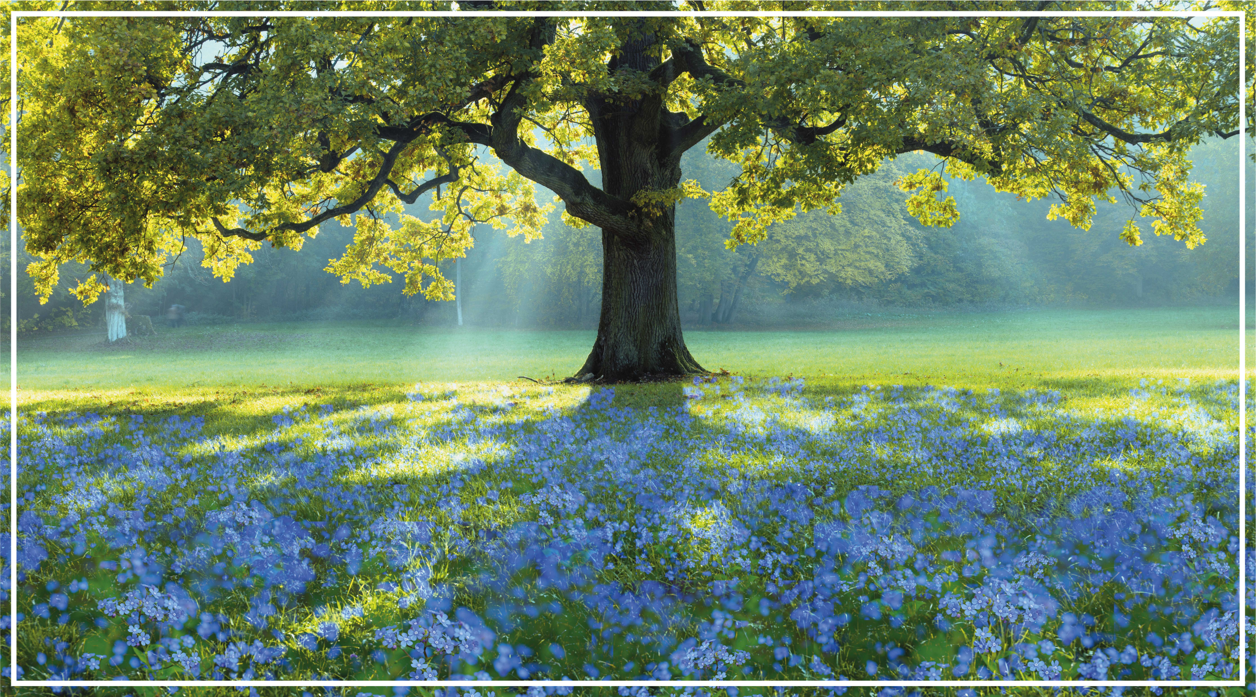 Modré květy a květinový koberec na stromě - TenStickers