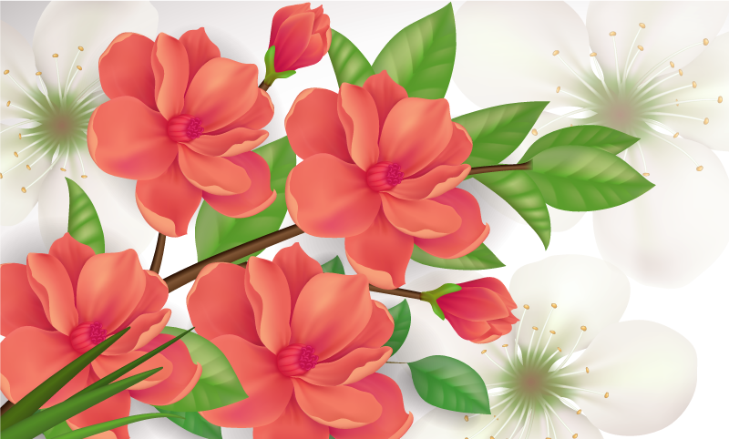 Vinylový koberec s květinami a rostlinami barevné květy - TenStickers