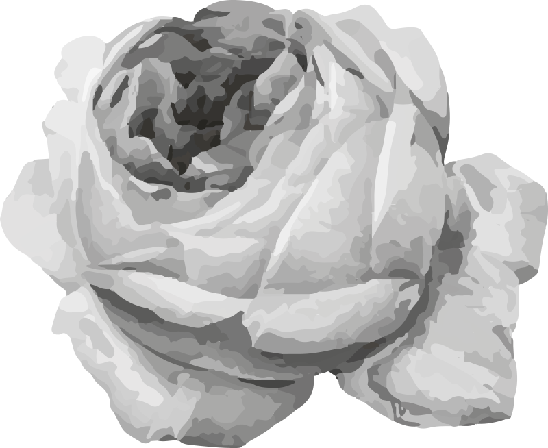 Růžový květ Vinylový koberec s květinami a rostlinami - TenStickers