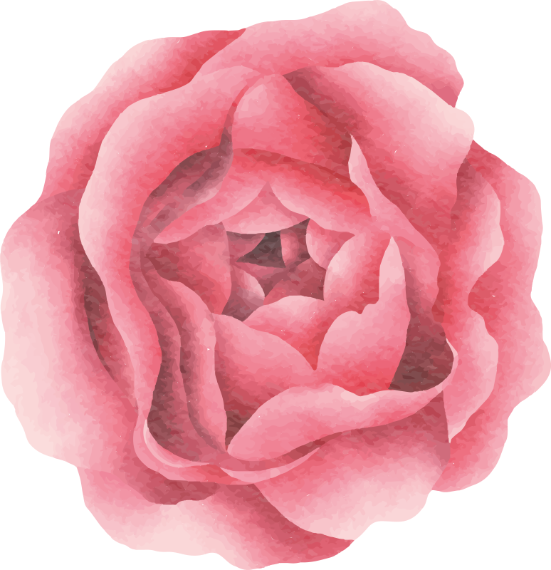 Vinylový koberec s květinami a rostlinami růžový květ - TenStickers