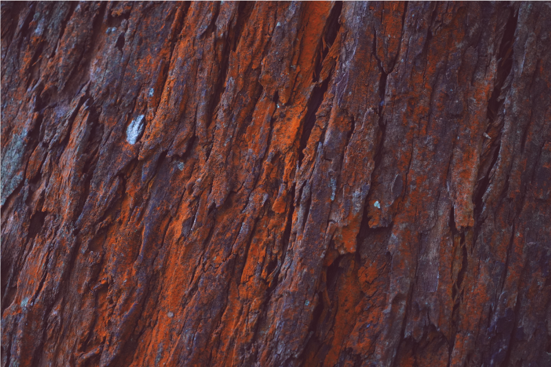 Vinylový koberec s efektem rustikálního dřeva - TenStickers