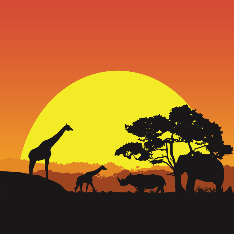 Africká savana moderní koberec - TenStickers