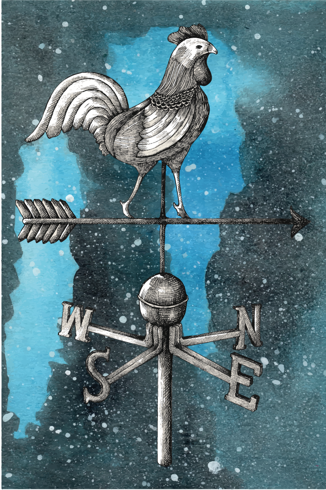 Větrná korouhev hvězdná noc s kuřecím zvířecím kobercem - TenStickers