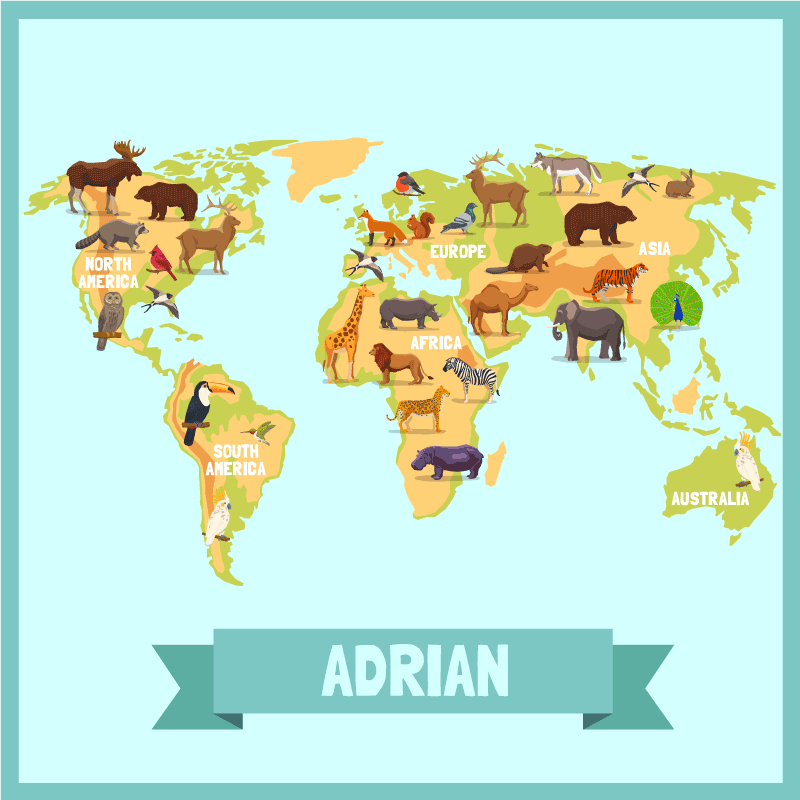 Barevná zvířata z kontinentů mapují koberec - TenStickers