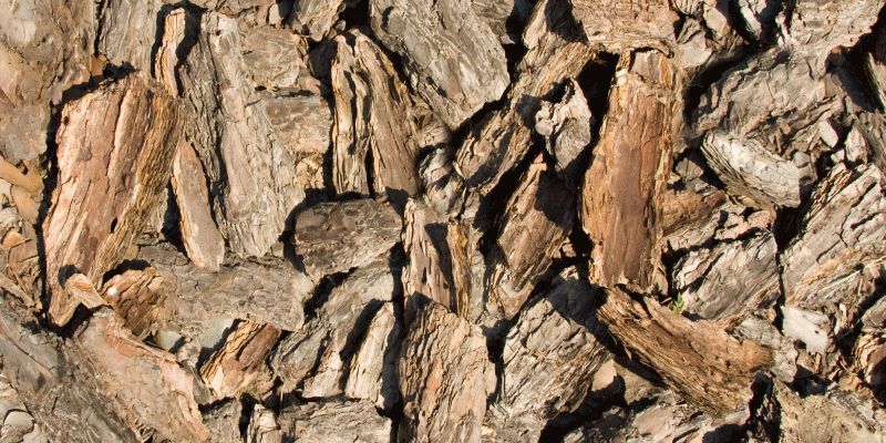 Hnědý rustikální stromový kůra textury koberec - TenStickers