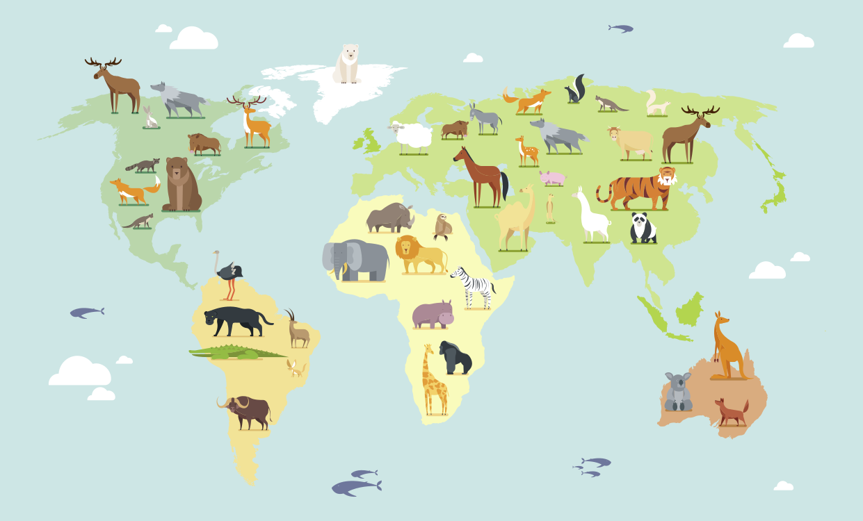 Barevná zvířata z kontinentu mapa světa koberec - TenStickers