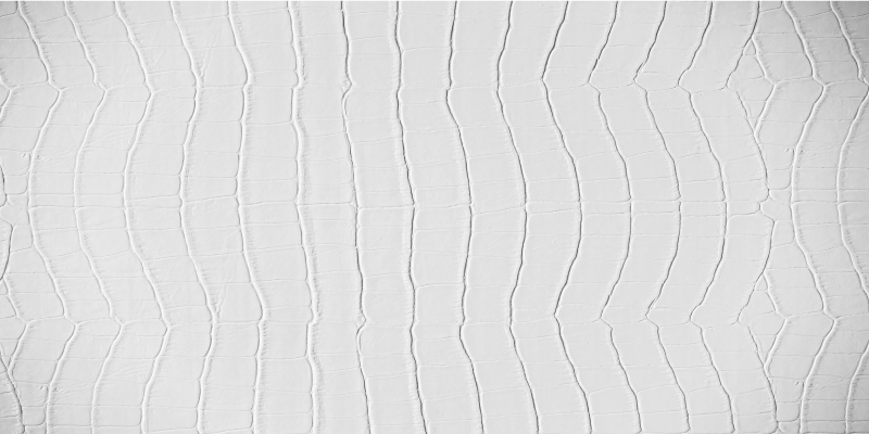 Elegantní krokodýl Vinylový koberec se zvířecím potiskem - TenStickers