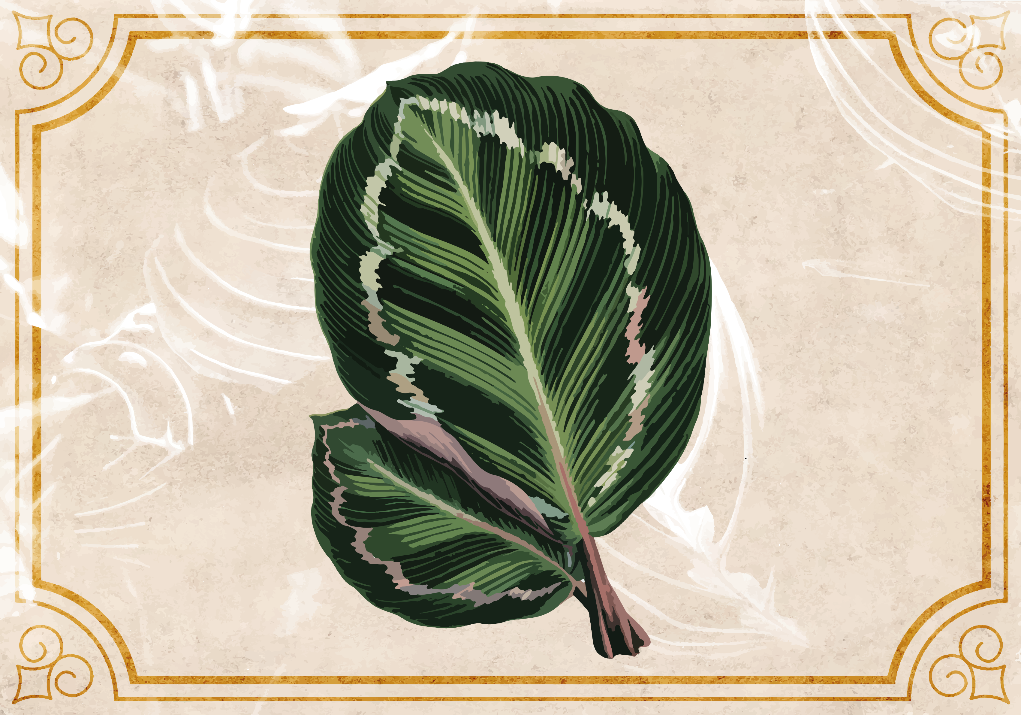 Zelená červená maranta listy květinový koberec - TenStickers