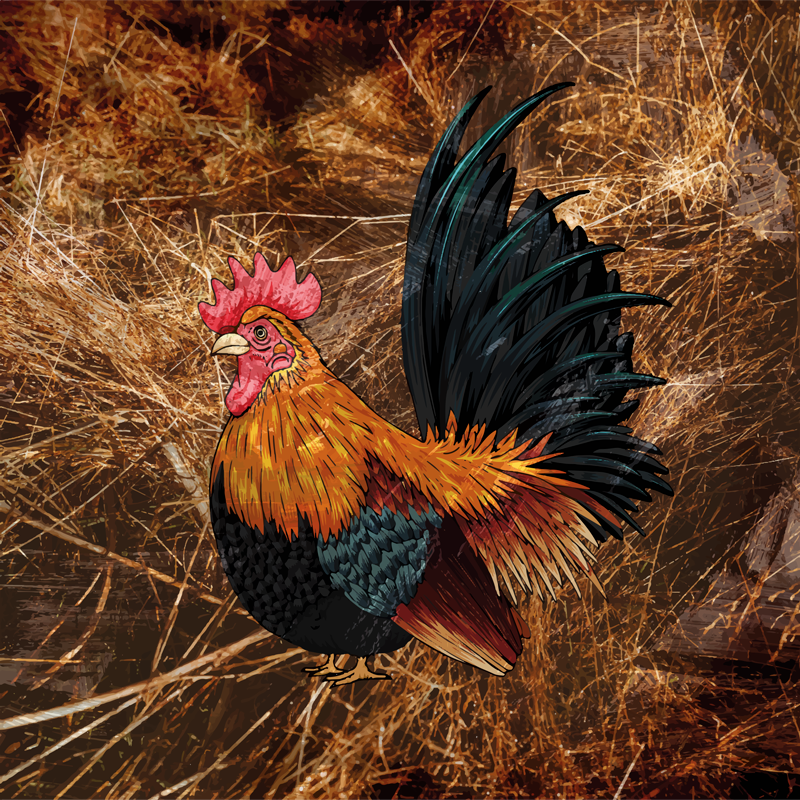 Nakreslený kohout ve vinylovém koberečku ze slámy - TenStickers