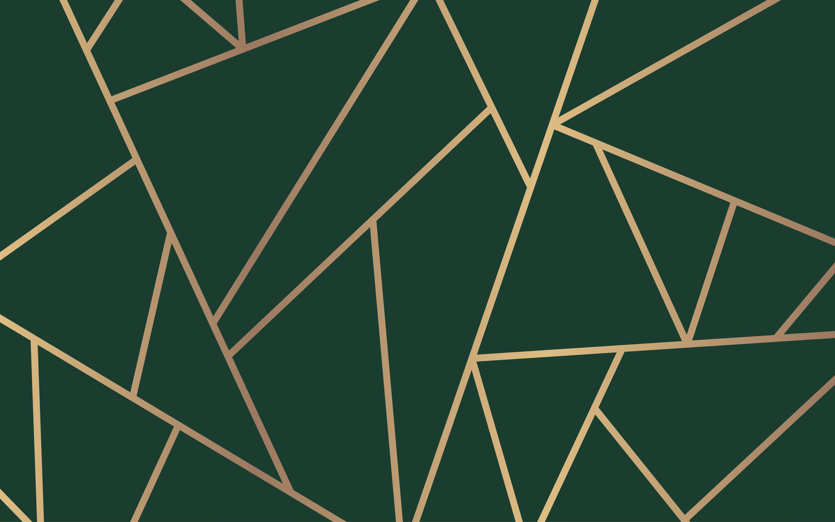 Zlaté čáry láhev zelené pozadí moderní koberec - TenStickers