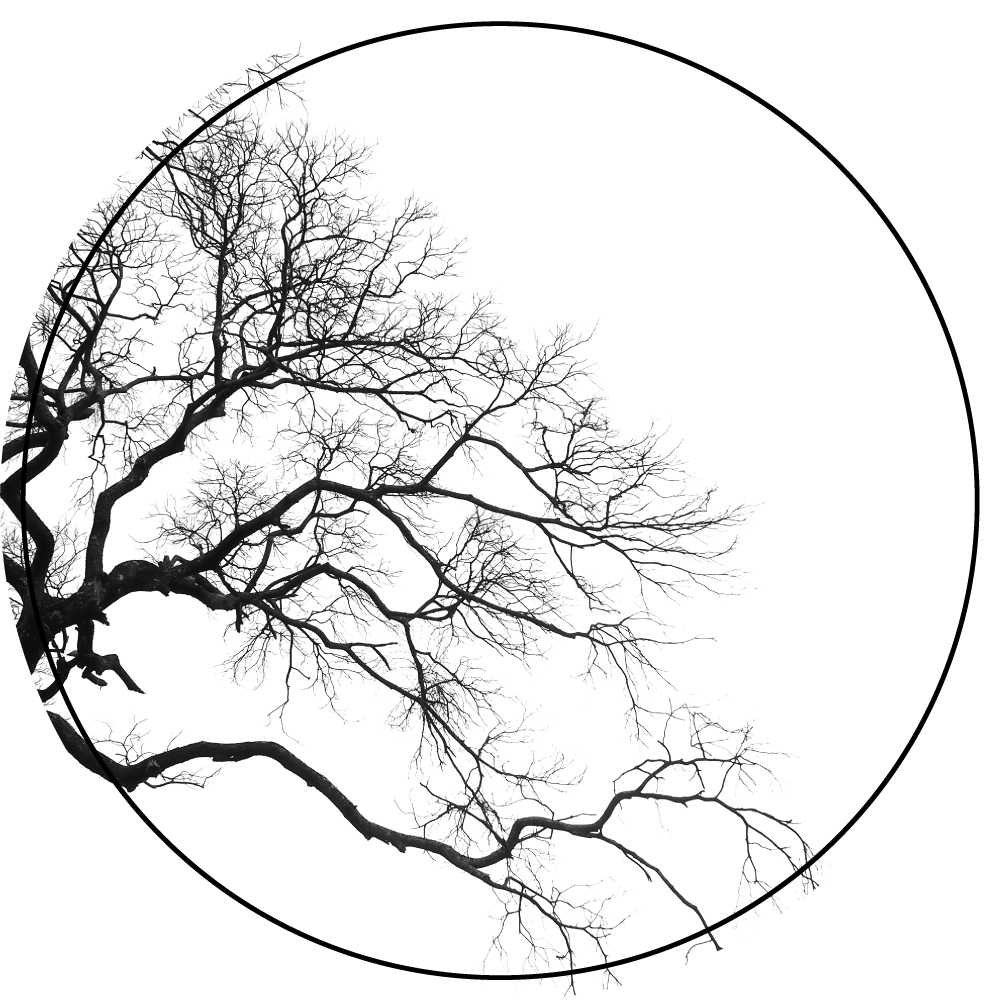 Moderní dřevěný koberec s prasknutím jedné větve - TenStickers