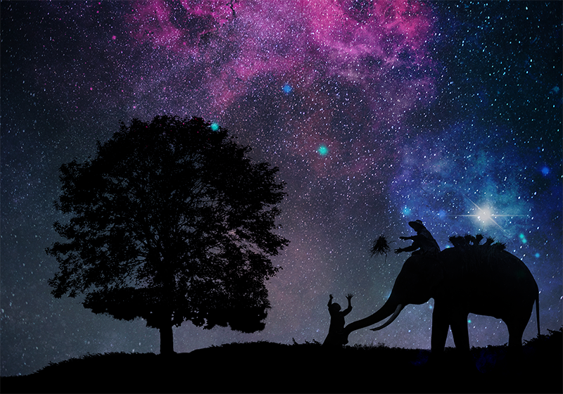 Vesmírné dobrodružství slonů Zvířecí vinylový koberec - TenStickers