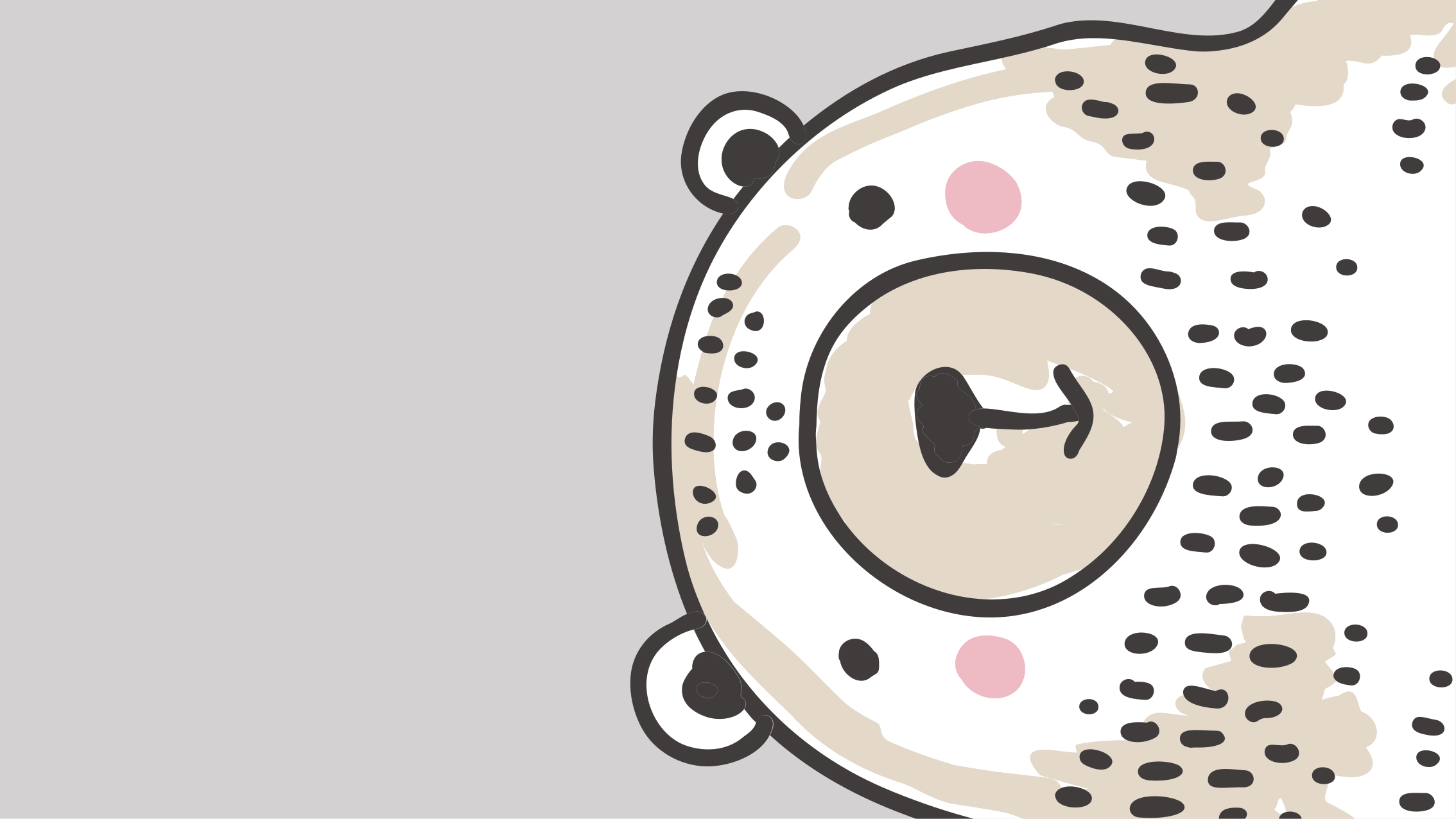 Medvědí tvar obličeje Vinylový koberec do školky - TenStickers