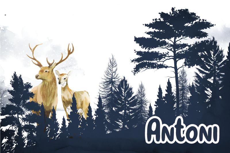 Silueta lesní fauny Vinylový koberec se jmény - TenStickers