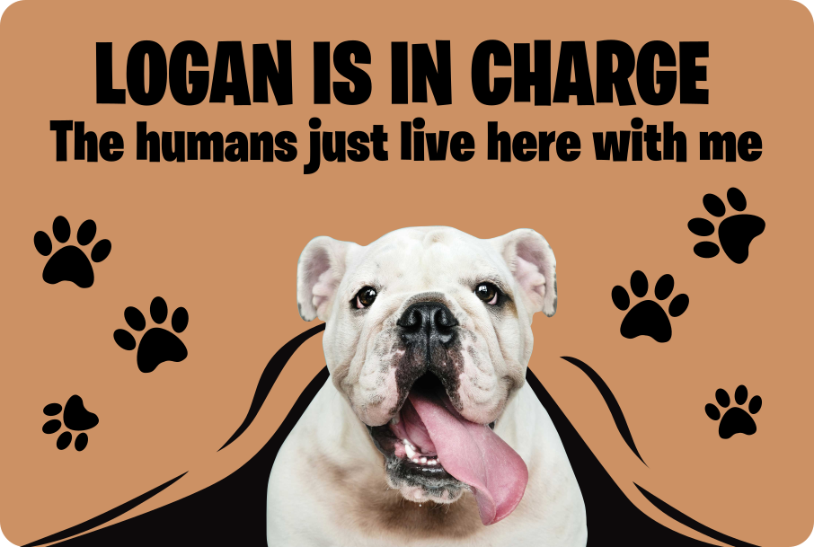 Vlastní foto pet vstupní hala dlaždice - TenStickers