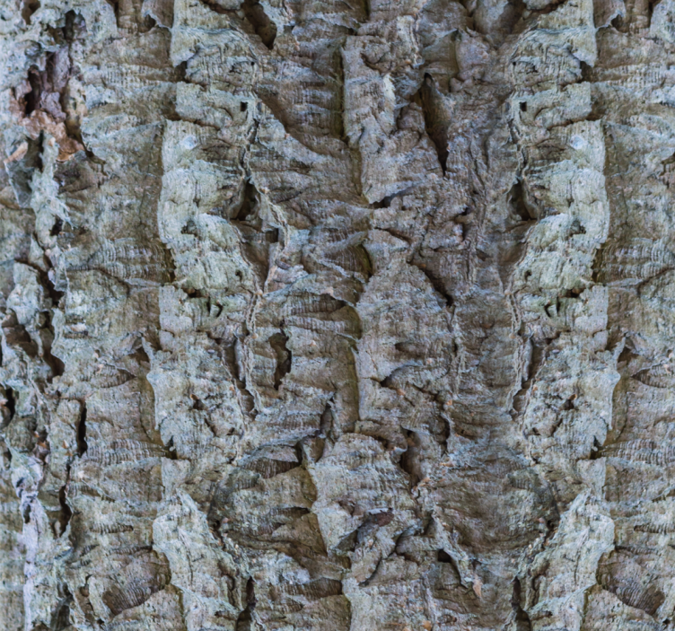 Korkový efekt světle šedá moderní tapeta - TenStickers