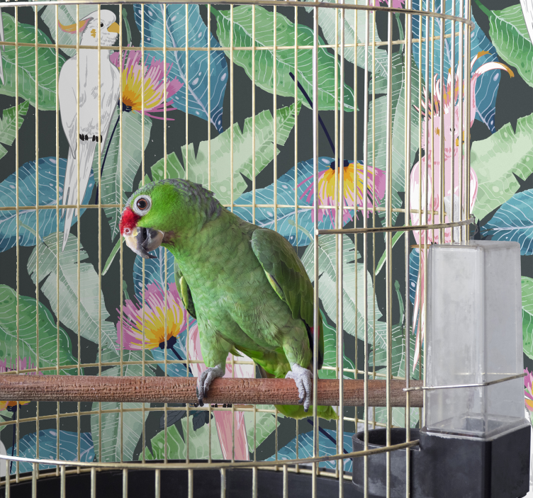 Tropické ptáky a listy Ptáci tapeta - TenStickers