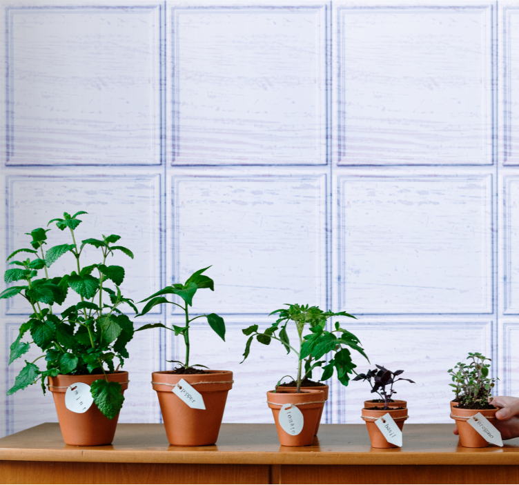 Modrý a bílý vzor Zkontrolovaná tapeta - TenStickers